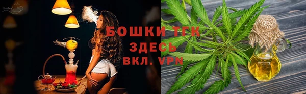 ПСИЛОЦИБИНОВЫЕ ГРИБЫ Киреевск
