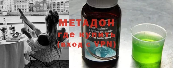 индика Ладушкин