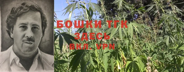 spice Арсеньев