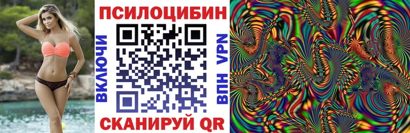 Псилоцибиновые грибы Psilocybine cubensis как найти Галич