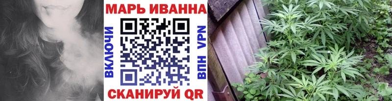 Конопля сатива Галич